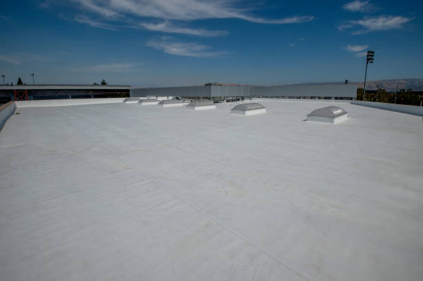 Best Roof Moss and Algae Removal  in Smith Mills, MA